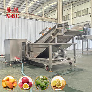 Machine à laver automatique personnalisée OEM Grenade Ananas Steen Cactus mangue Cerise Fruit Fraise Pêche Nettoyage - Product Image 1