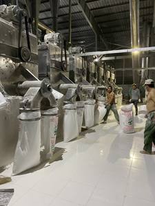 Amidon de tapioca naturel de qualité supérieure, provenant de l'usine du Vietnam, à bon prix et pour le marché international - Product Image 6