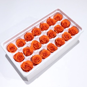 Rosa Stabilizzata Eterna 2-3cm in Confezione Regalo per Decorazioni Festive, Regalo di Nozze, Fiori Secchi - Product Image 2