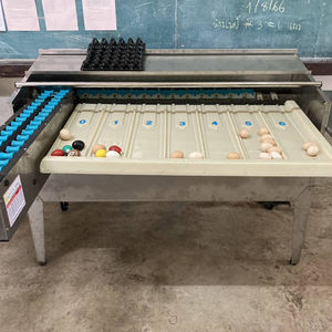 Máquina Clasificadora y Calibradora de Huevos de Aves de Corral de Grado de Exportación JantaFarm, 4500 Huevos por Hora, Acero Inoxidable, Automática - Product Image 6