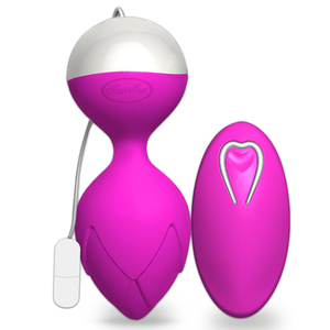 Exerciceur de Kegel magnétique sans fil à commande USB, rechargeable, pour le plancher pelvien, avec application, étanche, en silicone, billes vaginales - Product Image 2