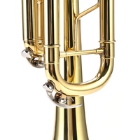 LADE Professional Bb Flat Brass Trumpet Instrument Set Kit Accessory
