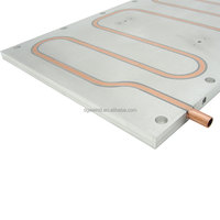 Plus grand 360mm rouleau collé refroidisseur d'azote liquide plaques froides profil en aluminium époxy Aio dissipateur de chaleur pour le refroidissement de la batterie au lithium Llithium