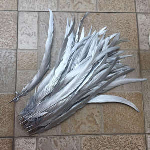 Venta al por mayor de alta calidad 40-45cm oro metálico plata pintado plumas de cola de <span class=keywords><strong>gallo</strong></span> para el diseño de disfraces de Carnaval - Product Image 4