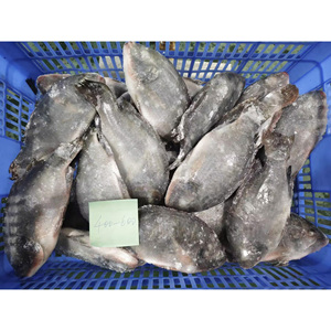 Tilapia en gros, exportation de Chine, poisson tilapia congelé, Peixe Tilapia Congelada - Product Image 4