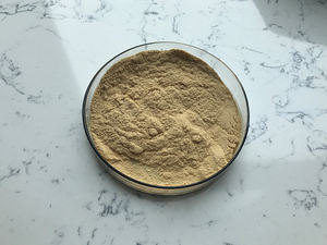 天然カメリアオレフェラ種子エキス茶サポニン - Product Image 3