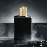 Parfum pour homme en marque propre, 100 ml, vente en gros, parfum boisé oriental citrique de luxe, Cologne pour homme, longue durée, Eau de Parfum
