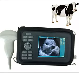 Sonde linéaire Portable cheval Animal vétérinaire Machine à ultrasons portative vétérinaire animaux de compagnie Scanner à ultrasons dispositif à main numérique
