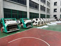 Machine de tri de couleur pour graines de piment et poivre noir à technologie avancée, prix usine Wenyao