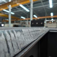 Fabricant chinois de bâtiments préfabriqués en acier galvanisé de haute qualité, entrepôts, usines