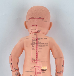 Modelo de simulación de acupuntura de PVC para bebés y niños, muñeca de entrenamiento de masaje pediátrico de acupuntura General para ciencia médica - Product Image 3