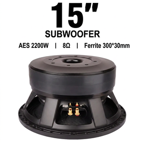 Subwoofer Passivo Professionale da 15 Pollici 2200W RMS, Altoparlante PA con Bobina Vocale da 152mm, Doppio Magnete in Ferrite da 300mm, Cassa Metallica per Palcoscenico - Product Image 1