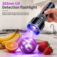 Senter Aluminium Alloy Putih XTE 365 UV Light, Dapat Diisi Ulang, Tahan Air, untuk Kegiatan Luar Ruangan, Deteksi Urine Hewan Peliharaan, dan Deteksi Mata Uang