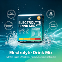 Sachets de mélange de boisson électrolytique sans sucre, certifiés GMP ISO, pour hydratation et récupération énergétique, avec potassium et magnésium, marque distributeur OEM ODM