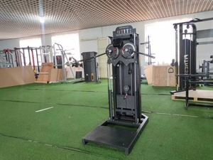 Ganas Multifunktions-Fitness studio Pin Load Selection Schulter presse Lateral Raise Standing Multi Flight Machine für Club - Product Image 5