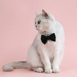 Collares para mascotas de tienda de fábrica con decoraciones de pajarita de gato y perro de perlas - Product Image 5