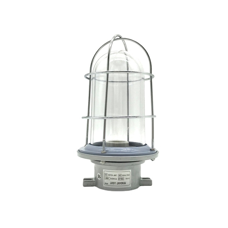 CCD6-2B алюминиевый 220v 60w Водонепроницаемый IP56 накаливания кулон свет
