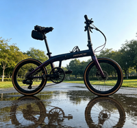 Bicicleta Plegable Aurora Chameleon Gradient T700 de Carbono con Pintura de Cambio de Color Exclusiva, 10 Velocidades, Ligera, Estilo Urbano