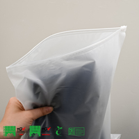 Sac en plastique givré à fermeture éclair pour vêtements avec Logo, sac d'emballage étanche à glissière, sac en plastique à glissière de stockage personnalisé