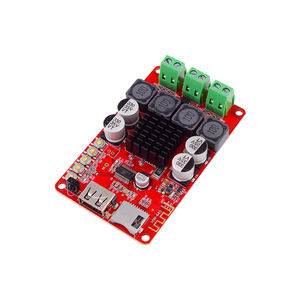 Placa Amplificadora Estéreo Hongwei Micro Tpa3116 2x50W de Doble Canal, Módulo Decodificador con USB y Ranura para Tarjeta TF - Product Image 1