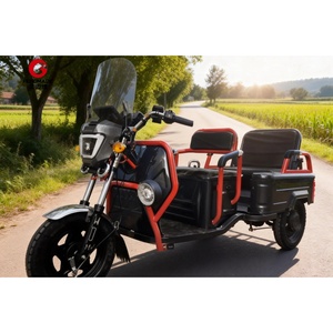 Motocicleta de 3 Ruedas para Carga, Taxi, Pasajeros, EEC, 2 Personas, Triciclo Eléctrico - Product Image 4