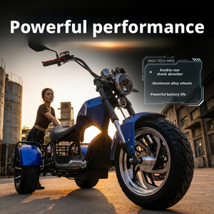 Triciclo Eléctrico para Adultos, para Desplazamientos entre Padres e Hijos y Movilidad Urbana - Product Image 3