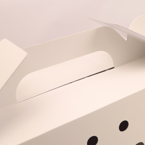 Cartón blanco personalizado Animal vivo Mascota Perro Gato Conejo Transporte Envío Cartón Cajas <span class=keywords><strong>de</strong></span> embalaje <span class=keywords><strong>de</strong></span> regalo - Product Image 4