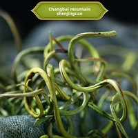 Tisane aux herbes Aao Xiao Ye pour l'essence rénale, à base de plantes sauvages sélectionnées, d'herbe fossile et d'herbe dorée de la montagne de Changbai, thé en vrac (en boîte) frais et sec