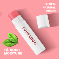 Baume à lèvres hydratant en gros, baume à lèvres SPF, baume à lèvres, étiquette privée, baume à lèvres pour lèvres sèches