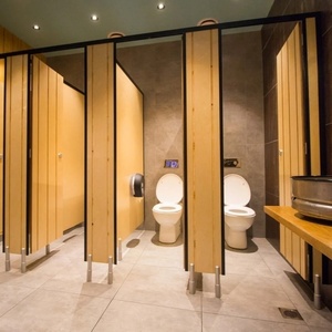 Nhà Vệ Sinh Công Cộng Phân Vùng Hiện Đại Thân Thiện Với Môi Không Thấm Nước Chống Cháy Nhỏ Gọn Laminate Hội Đồng Quản Trị Tủ Cho Spa Khách Sạn Phòng Tắm - Product Image 2