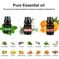 Massage Aromathérapie Bougie Faire Huile Essentielle 6pc Set dans Boîte Cadeau Diffuseurs Huile Essentielle Pure