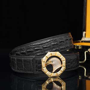 Cinturón Formal de Piel de Cocodrilo para Hombre con Hebilla de Acero, Diseño de Lujo para Negocios y Ocio, Ligero y Duradero, Venta al Por Mayor del Fabricante - Product Image 1