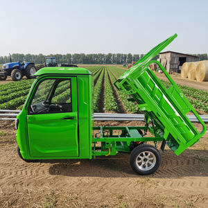 Entrepôt roumain, EEC CE, vente chaude, nouveau style de <span class=keywords><strong>tricycle</strong></span> électrique de transport de marchandises, fabriqué en Chine - Product Image 1