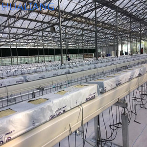 Steinwolle hydrokultur kindergarten gewächshaus kommerziellen hydrokultur pvc rohr systeme - Product Image 2