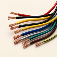 Cable de Variador de Frecuencia BPYJVP 0.6/1kV con Aislamiento de PVC y Blindaje de Cobre Trenzado 3+3 Núcleos VFD para Sistemas de Motores Industriales