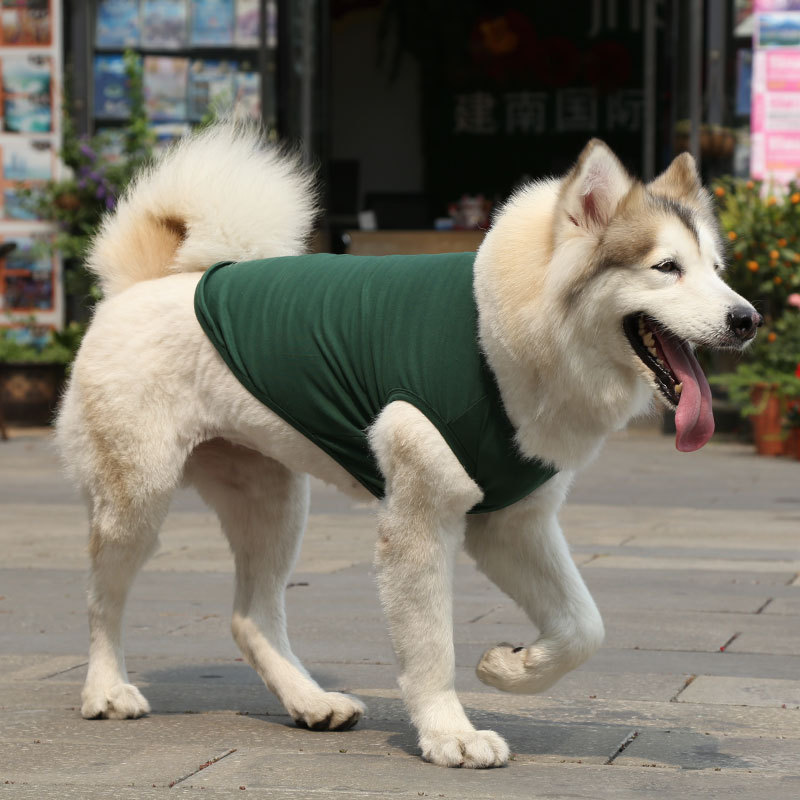 Gilet 100 % coton, vert foncé