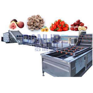 Séchoir à fruits commercial Machine figues tomates abricots Dates lavage séchage ligne de traitement - Product Image 1