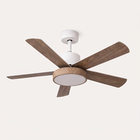 Ventilateur de plafond moderne silencieux européen DC 122 cm 5 pales en acrylique avec télécommande et lumière LED dimmable DC 36V 6 vitesses compatible salon