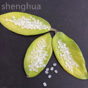 100% NOUVEAU VIERGE PP Injection Traitement Sino Pec Chine Marque Homopolymère Copolymère Polypropylène K8003 - Product Image 3