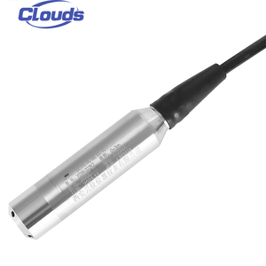 Clouds RS485 316L Edelstahl Tauchdrucksensor Hochpräzise 0,25%FS IP68 24V DC Wasser- und Kraftstoffstandsensor - Product Image 5