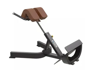 制造商提供健身房运动器材背部扩展练习凳