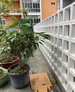 Trang trí tường rỗng bê tông xi măng khoe khối - Product Image 3