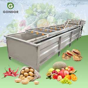 Machine de lavage et de nettoyage industrielle continue pour fruits et légumes de grande taille (fraise, pastèque) - Product Image 1