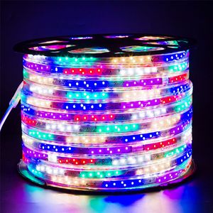 Bande lumineuse LED à deux fils effet arc-en-ciel, télécommandée, étanche IP65, intensité variable, pour éclairage intérieur, néon, éclairage de rue, pour arbres et fêtes - Product Image 6