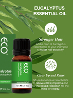 Huile Essentielle d'Eucalyptus Purifiante et Rafraîchissante pour Diffuseur d'Air Ambiant, Soin Peau et Cheveux, Huiles Essentielles Biologiques OEM ODM