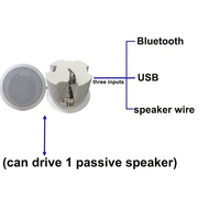 Haut-parleur coaxial de 5 pouces 30W 15V/2A Bluetooth USB ABS Haut-parleur actif de plafond OEM ODM Vente directe d'usine Haute qualité Bon son