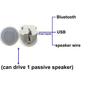 ลำโพงโคแอกเชียล 5 นิ้ว 30 วัตต์ 15 โวลต์/2 แอมป์ บลูทูธ USB ABS ลำโพงติดเพดานแบบแอคทีฟ โรงงาน OEM ODM ขายตรง คุณภาพสูง เสียงดี - Product Image 4