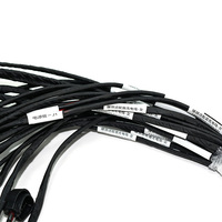 Conjunto de Cable de Conector de Aviación GX16 de 2 Pines Personalizado con Enchufe Metálico Impermeable y Arnés de Cables Molex