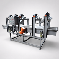 Geavanceerde roestvrijstalen multi-borstelrol fruit- en groenteschilmachine voor voedselverwerking