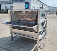 Machine automatique de dépilage de poulet et de canard, nettoyage de la volaille, éplucheur de plumes, dépilage commercial, abattage de cailles